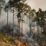 Wildfire smoke near power lines in the western United States, illustrating grid resilience in extreme weather and the 2026 reliability challenge.