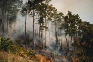Wildfire smoke near power lines in the western United States, illustrating grid resilience in extreme weather and the 2026 reliability challenge.