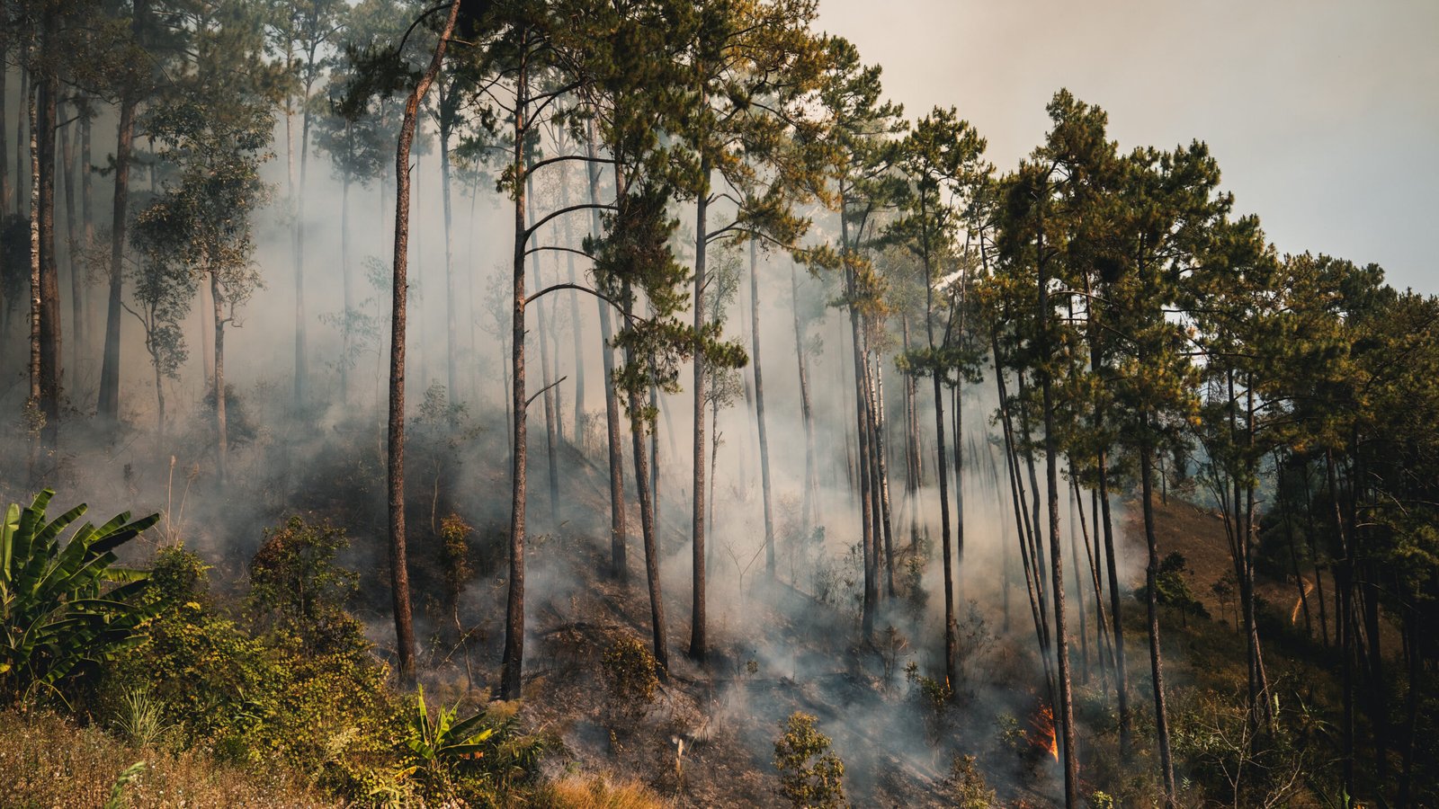 Wildfire smoke near power lines in the western United States, illustrating grid resilience in extreme weather and the 2026 reliability challenge.